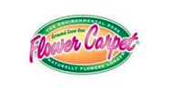 Flower Carpet Roses
